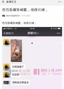 猪瘟最新爆料视频大全集,视频大全集深度解析